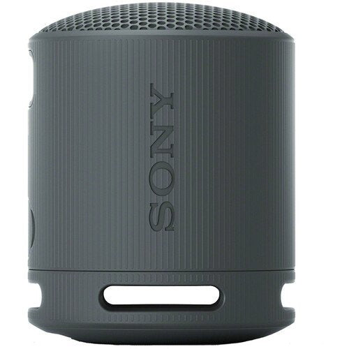 Gray Sony portable speaker on a white background
