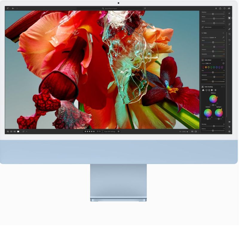Computer monitor displaying a colorful flower image with editing software on the right.
